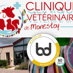 Réhabilitation de la Clinique vétérinaire de Monestoy
